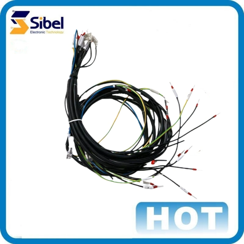 Factory Customized Hot Selling Double Head Industrial Wiring Harnesses with Plugs According to Customer Requirements